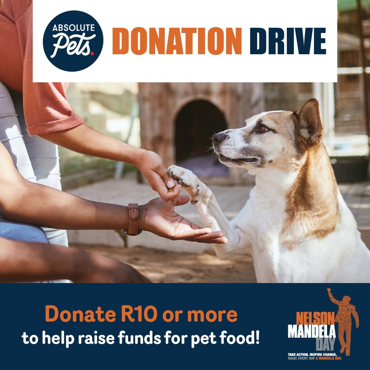 Support Absolute Pets' Mandela Day Pet Donation Drive!
